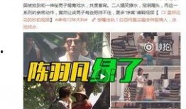 廊坊王哥爆料最新消息视频,视频揭秘事件真相