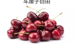 中源果农最新爆料车厘子,车厘子背后的种植奥秘与品质传奇”