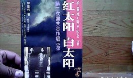 《白太阳》在线观看,探寻人性光辉的温暖之旅